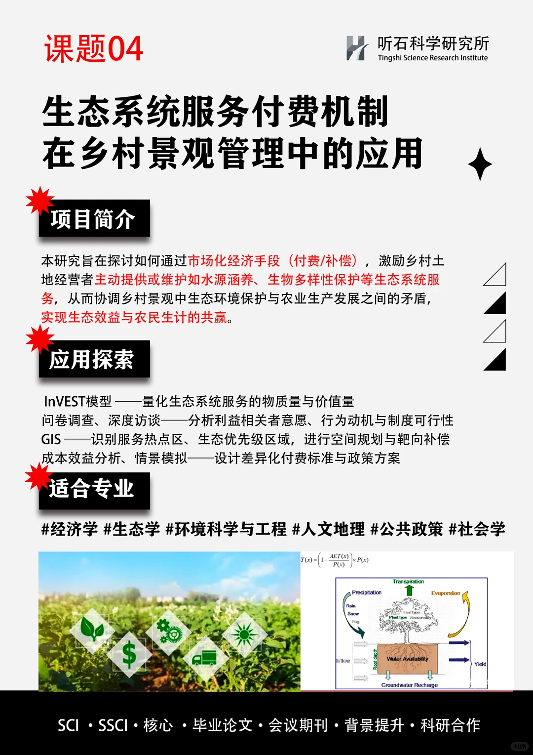 课题热招?生态修复与空间生产:复绿+创造