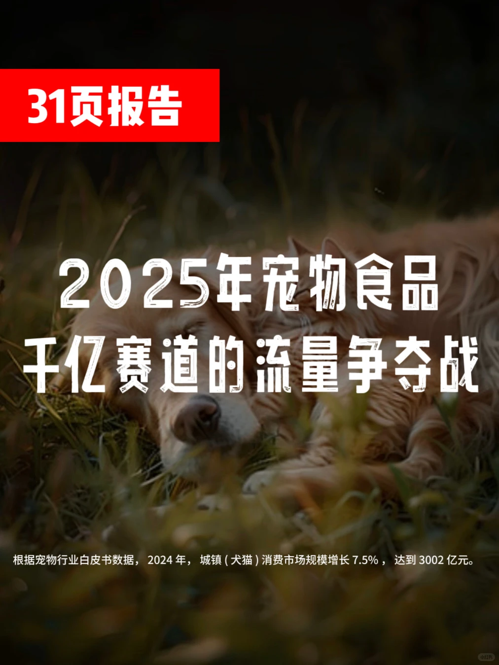2025年宠物食品市场洞察报告：31页行业报告?