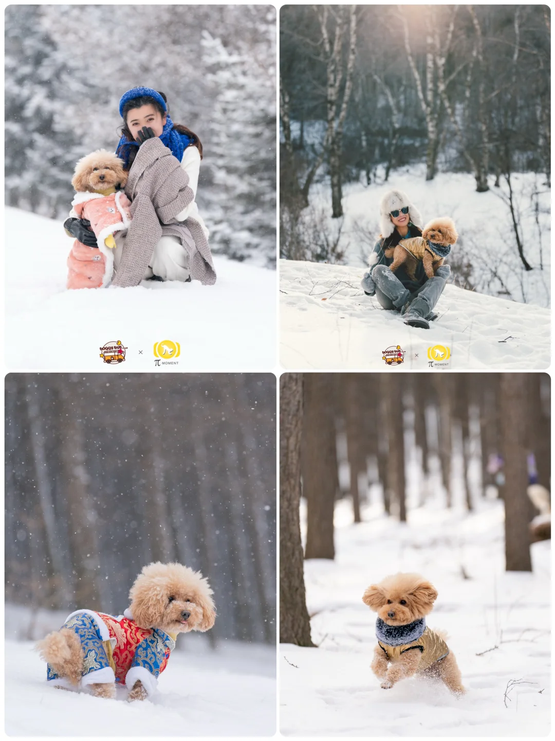 山楂2025出行报告，小狗狗的年终总结！