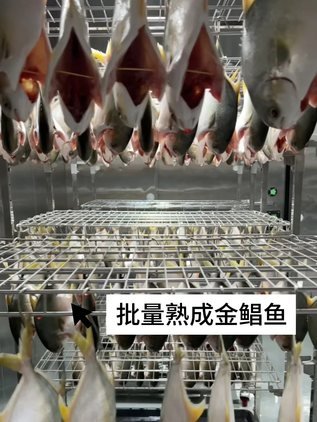 餐饮爆款不断的底气?味燃专业熟成工厂‼️