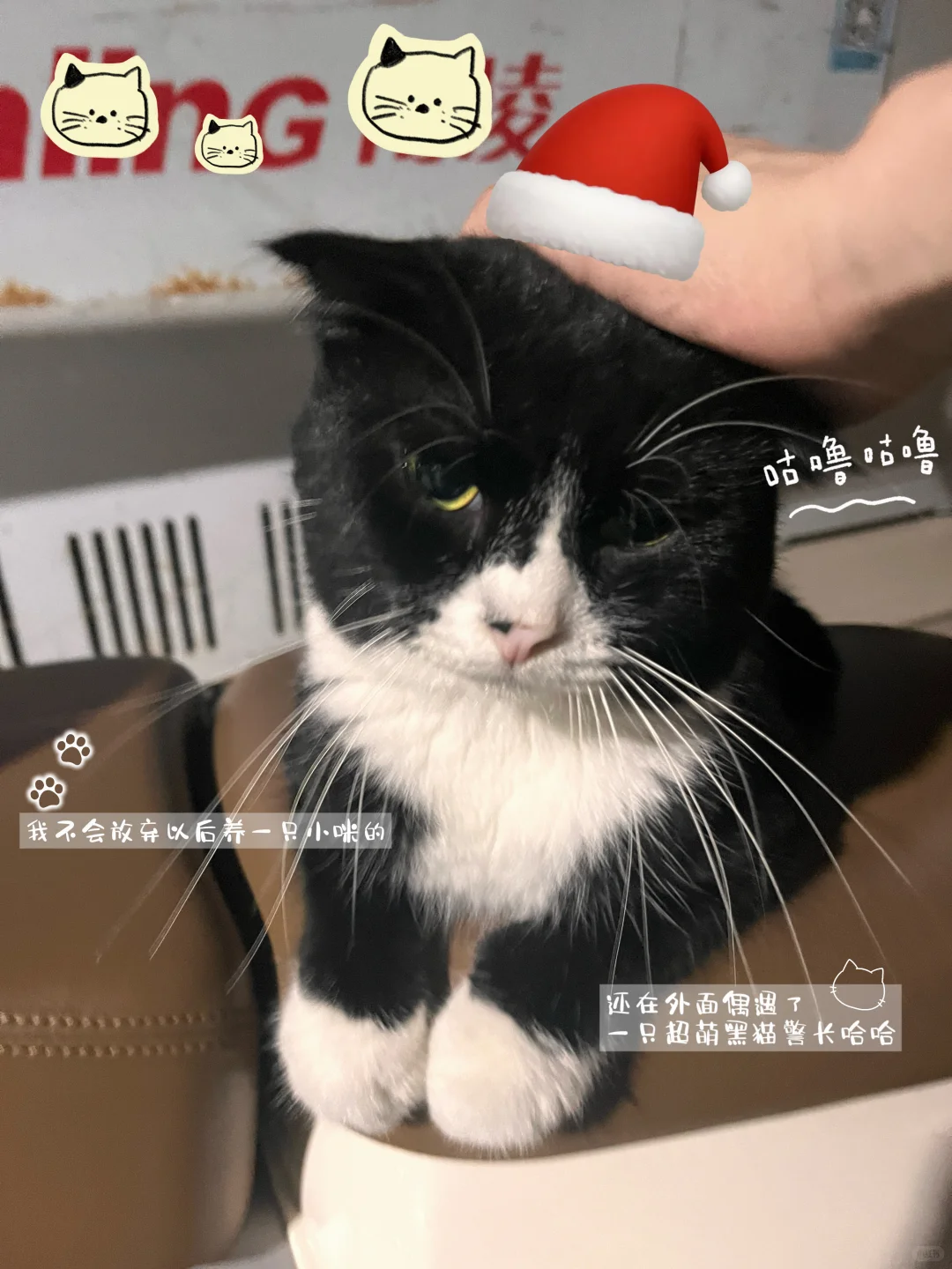 Plog｜数据差到自闭，在线求抱团