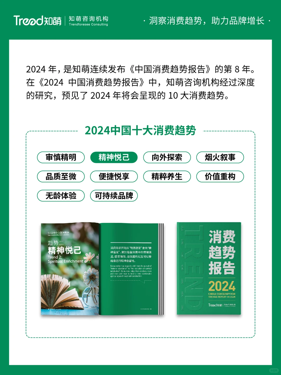 中国十大消费趋势报告 | 精神悦己