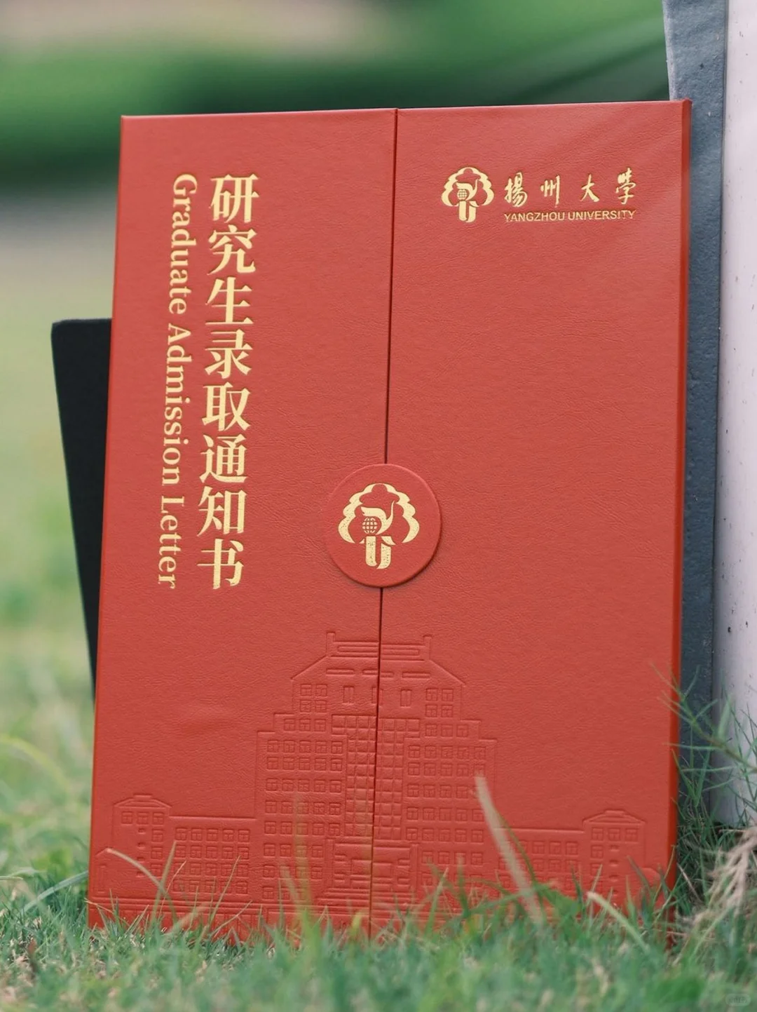 扬州大学今年是疯了吗