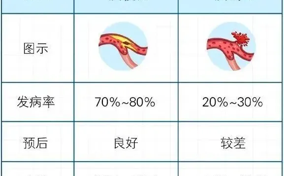 冬季护脑指南丨年长者更需警惕脑健康
