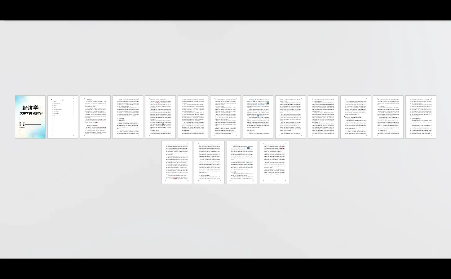 经济学实习报告word