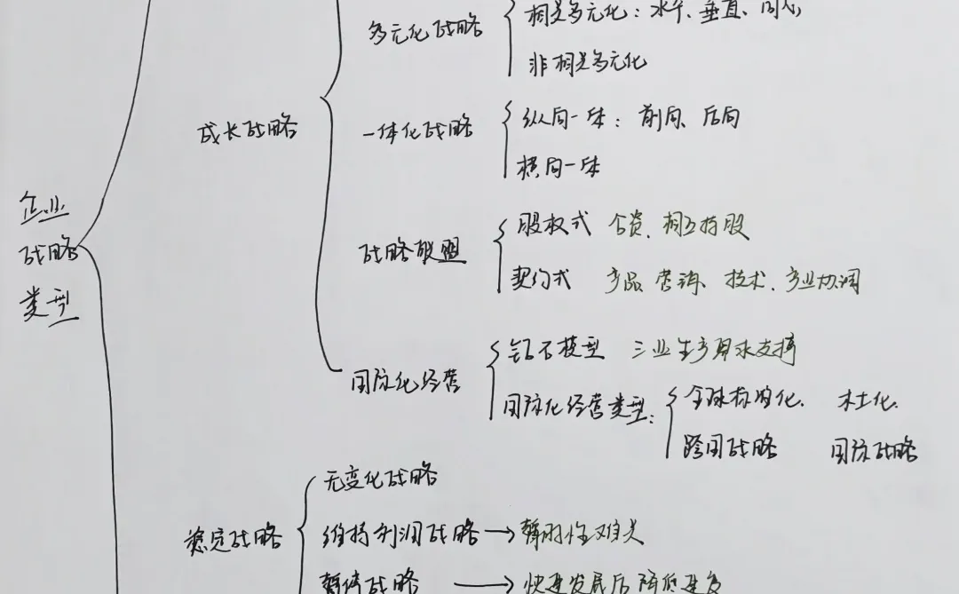 中级工商第一章第三节企业战略类型