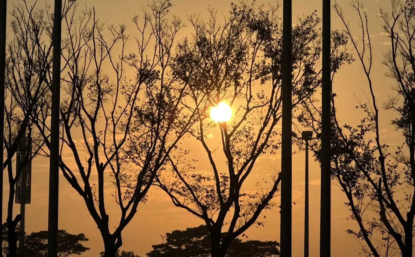 深圳HOTELEX逛展攻略?20万㎡咖啡茶饮盛宴