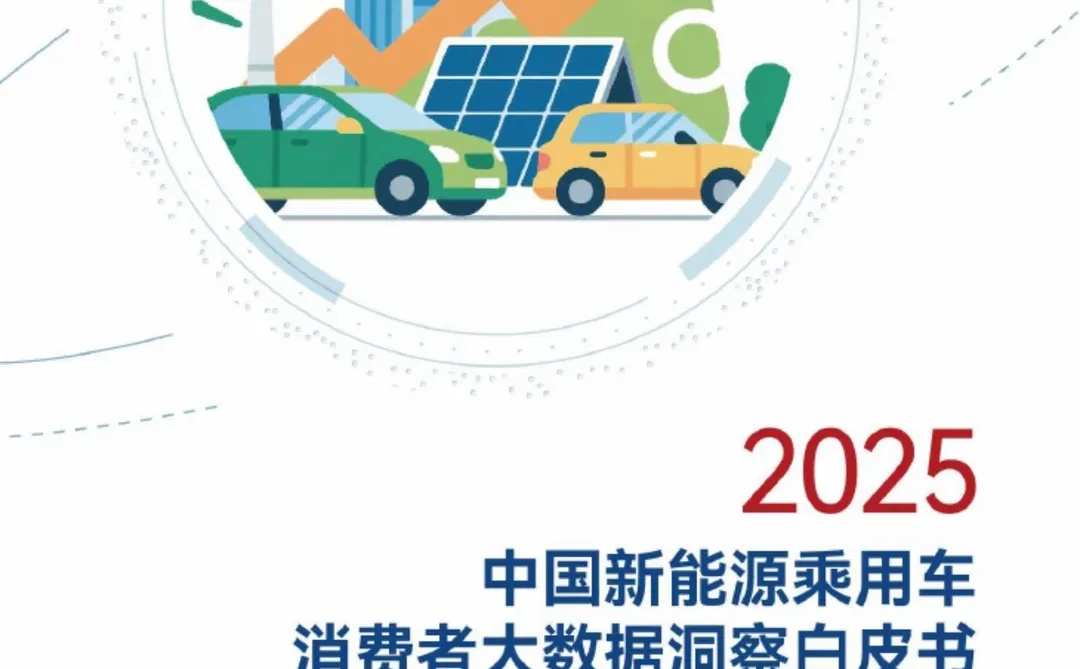 炸裂！2025新能源乘用车大数据洞察?