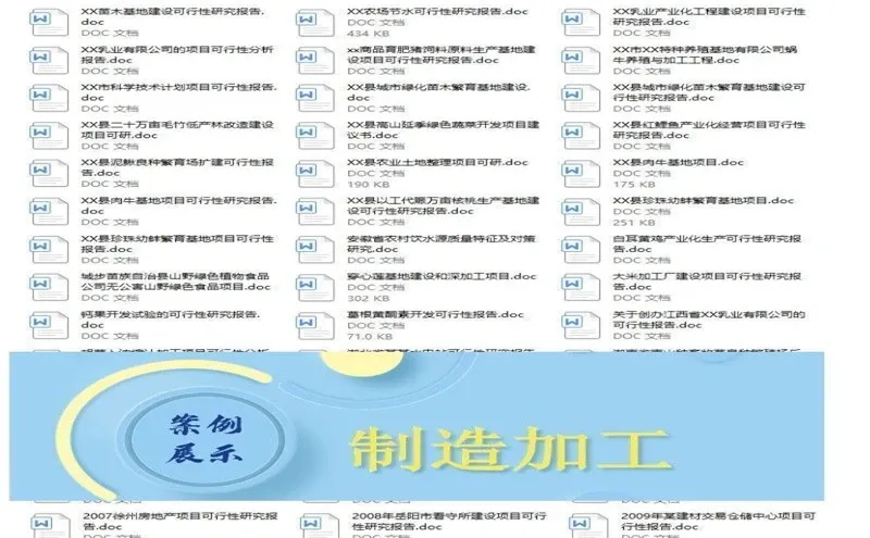 ✨企业发展迷茫？可行性报告助你破局！