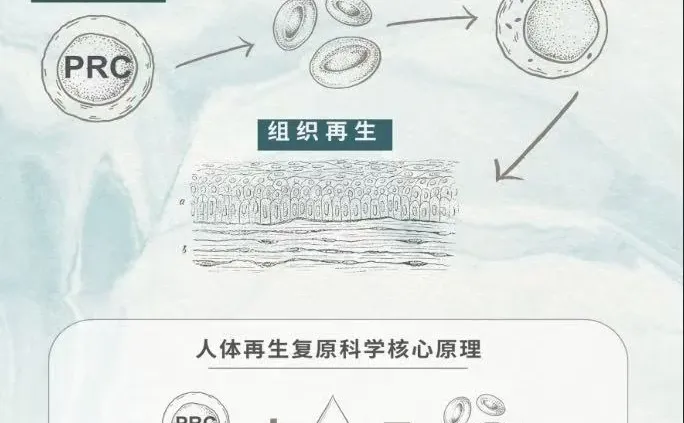 2026我们还?机会赚钱嘛？