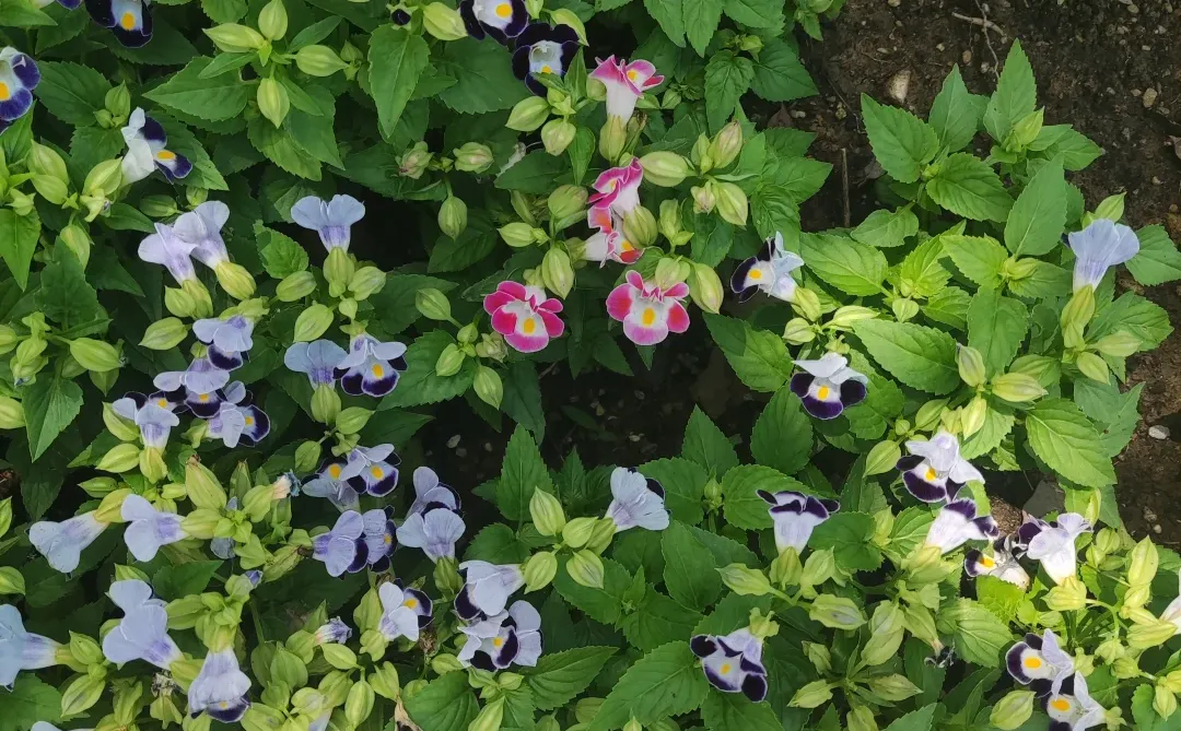 2024年河北省各地市经济情况