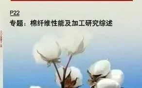 化纤检测质量管理经济期刊《中国纤检》