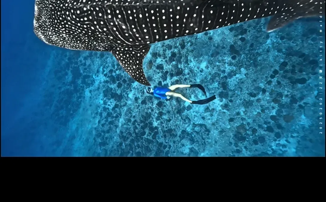 全新的国际货币体系正在逐步建立