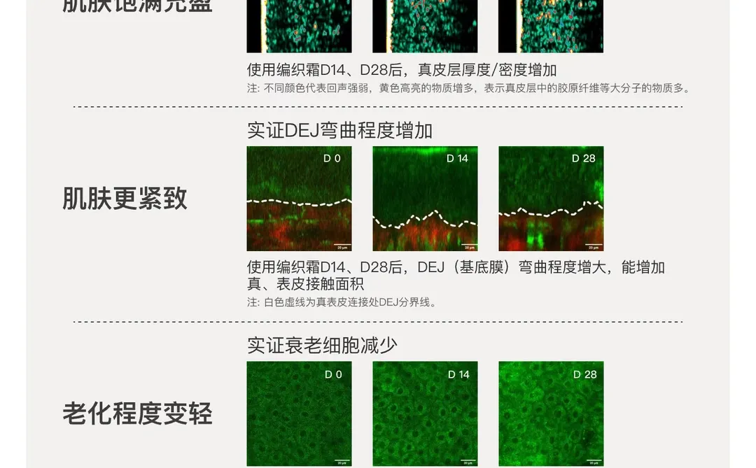 写写构象，一个我越来越看好的品牌