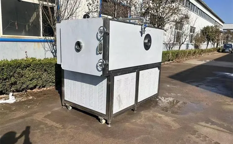 榴莲冻干机企业研究报告（2025）