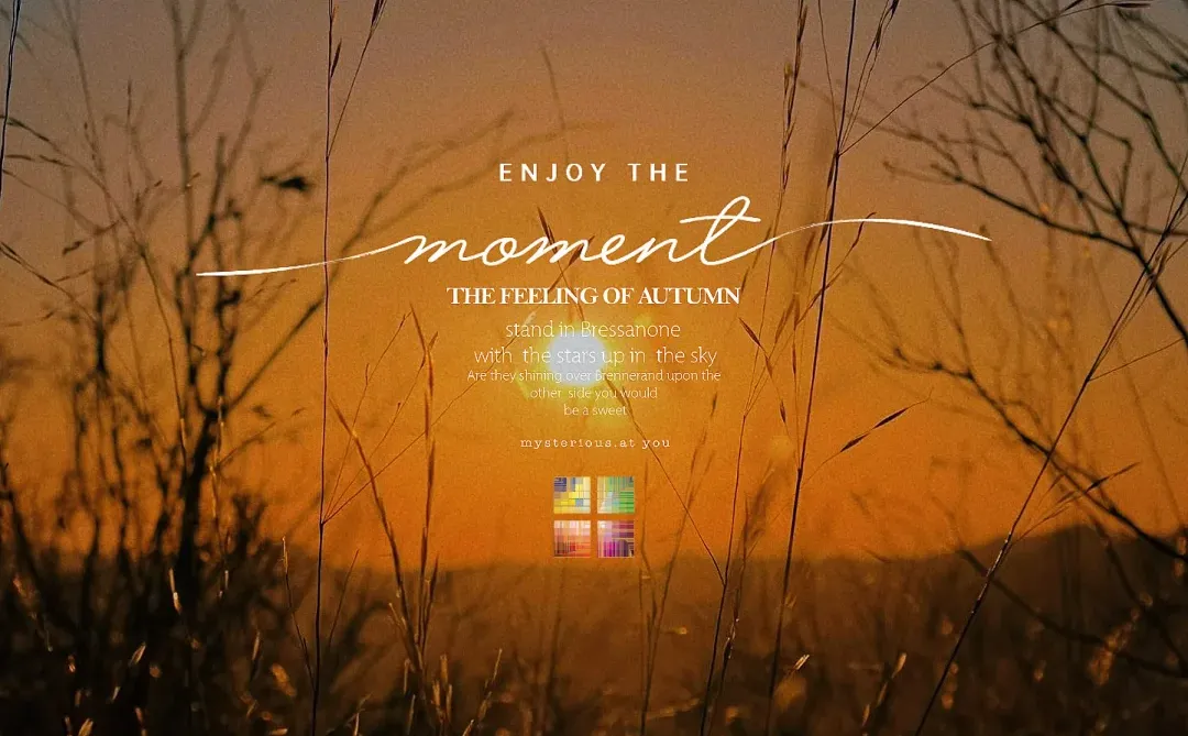 不是逃离,是觉醒,我决定用房租换一生✨