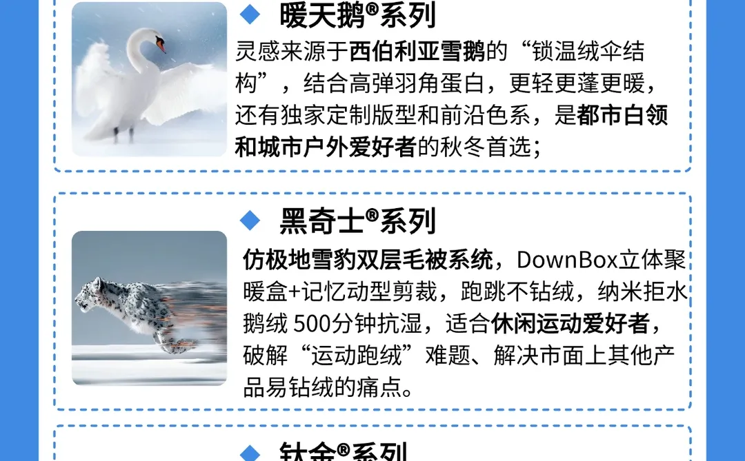 流量 + 专业，拆解美力城 2025 营销逻辑