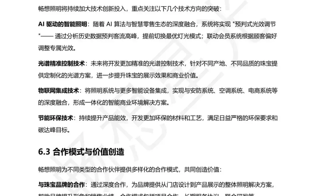 珠宝照明行业白皮书2025版