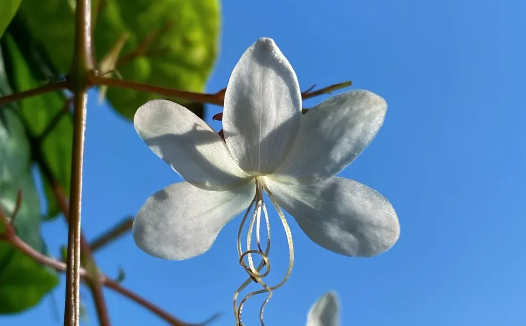 读书博主坦白局：宝妈直播15天，终于挣到钱了