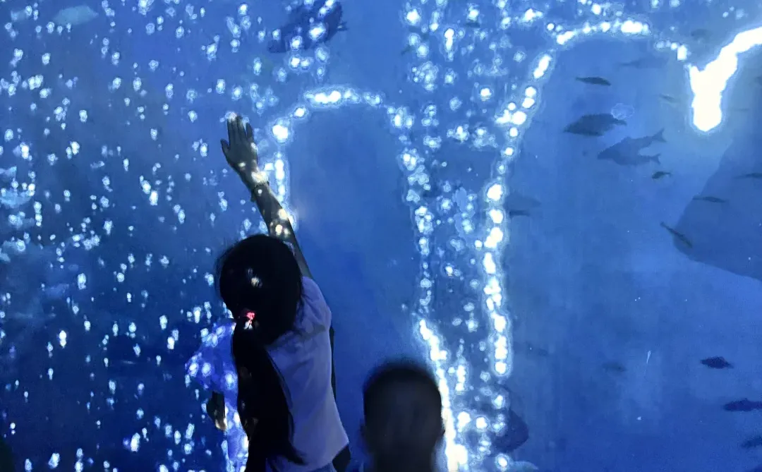 闲鱼卖货,意外发现了中国人的消费心理‼️