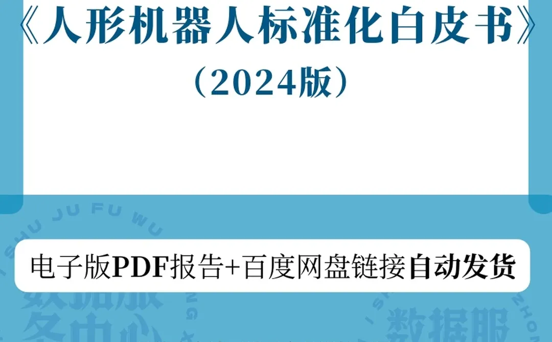 2024年人形机白皮书行业报告