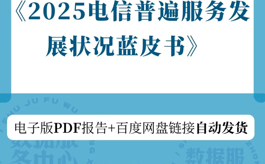 2025电信普遍服务蓝皮书发展状况