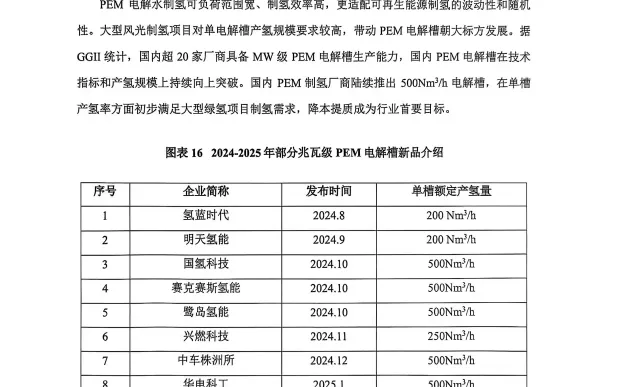 ?揭秘：2025中国绿氢产业发展蓝皮书