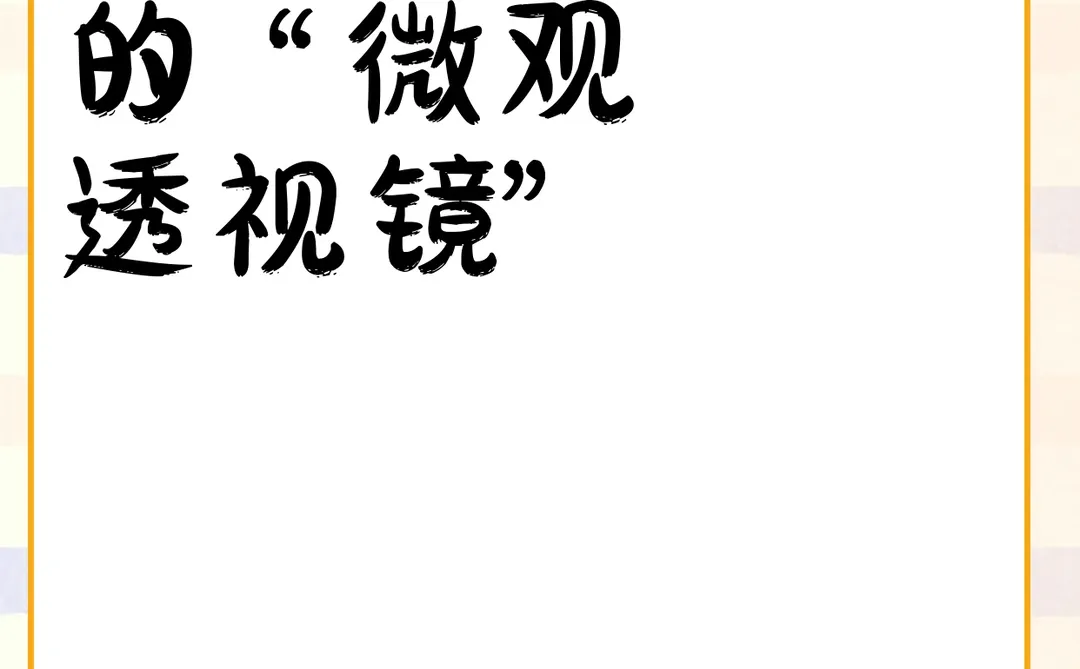 中国地方发展的 “微观透视镜”