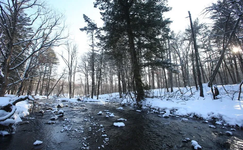 农夫山泉差异化之路堪称品牌定位经典