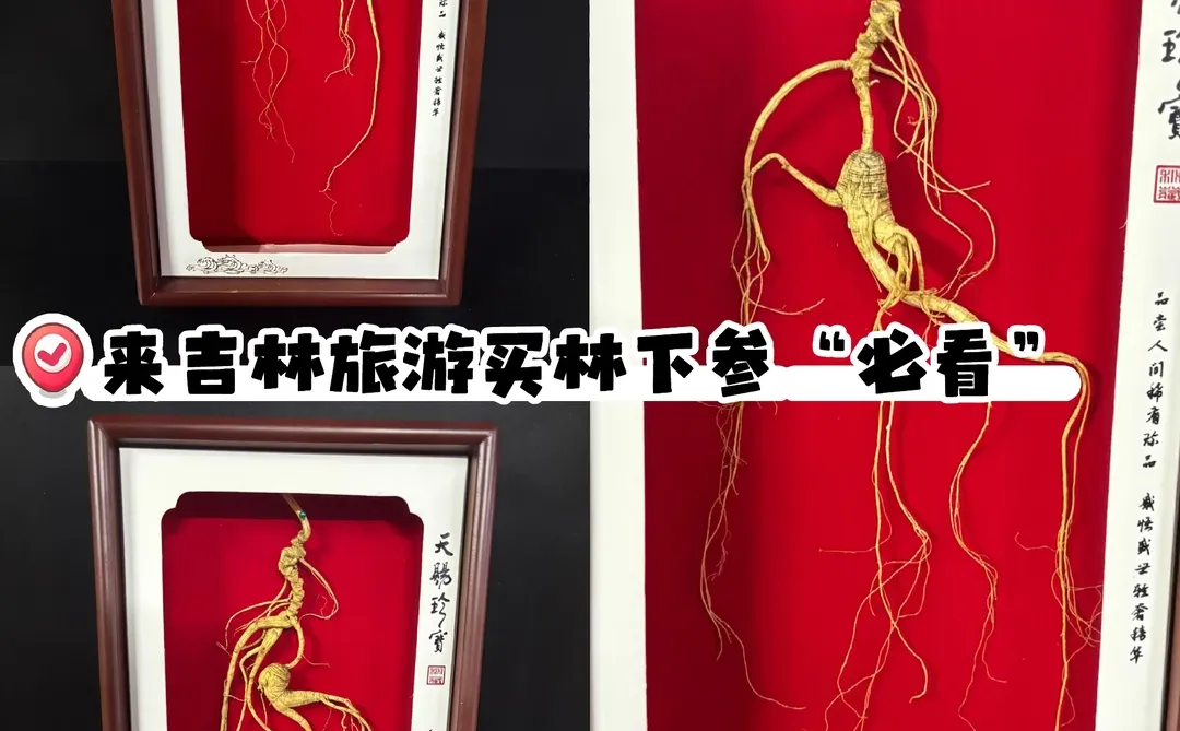 别把林下参这个行业、弄得乌烟瘴气行吗？