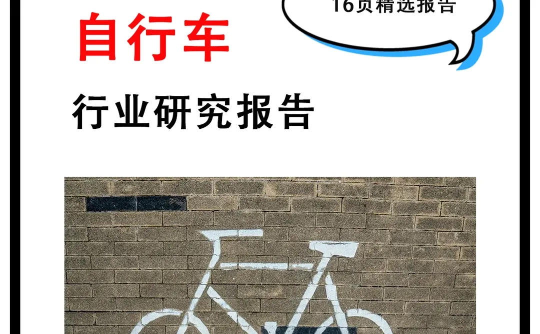 16页报告丨2022国内自行车行业简析报告