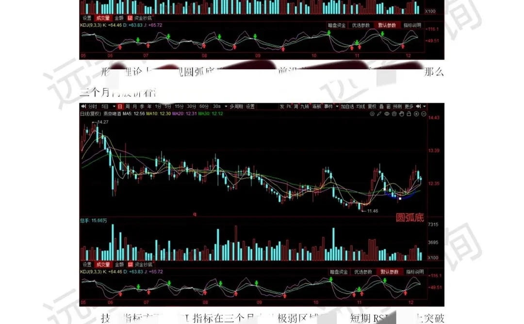 大学生看过来！证券投资分析报告