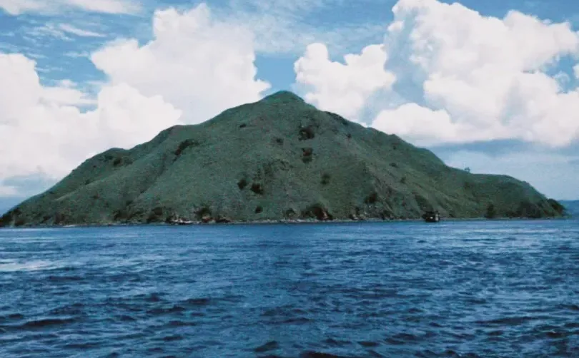 没有安全感的人很难强迫自己理性