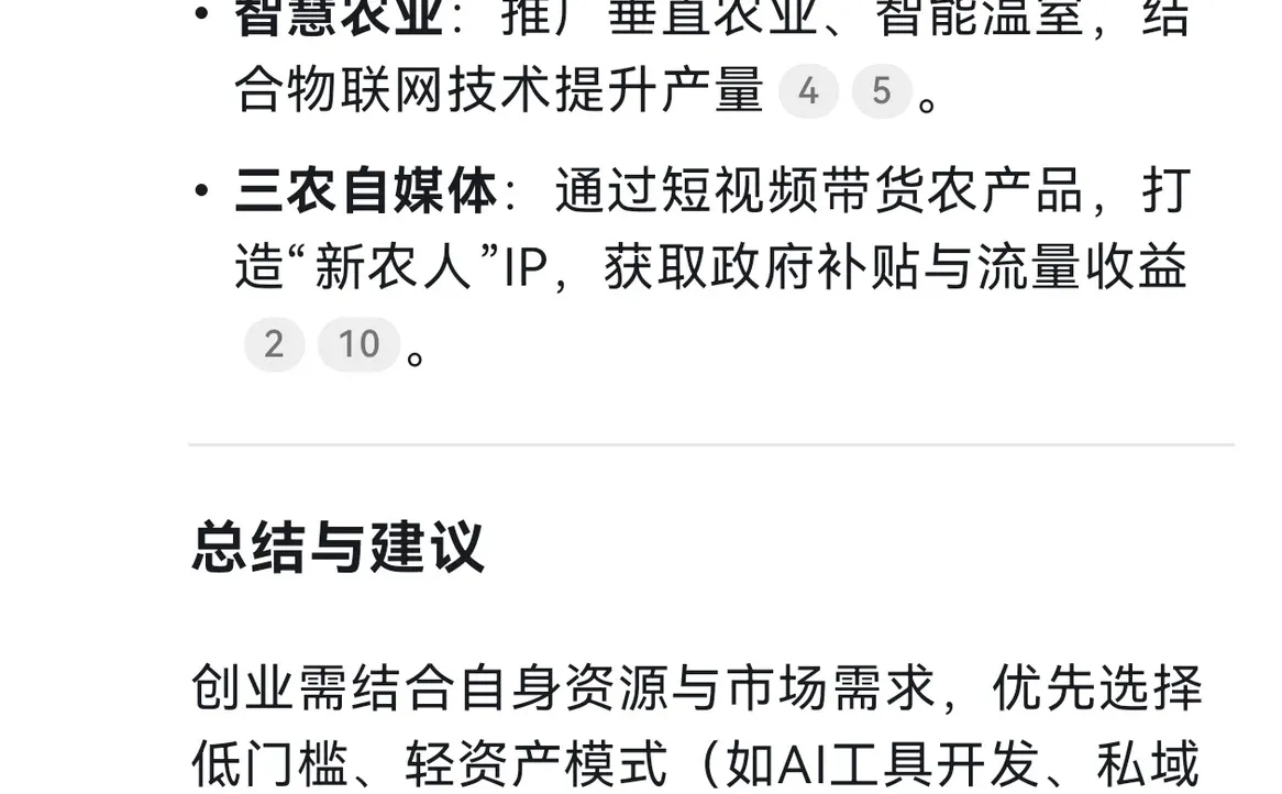 DeepSeek谈2025年的创业风口