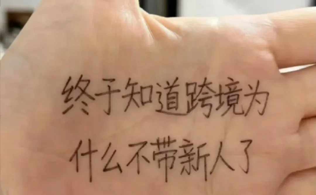 终于知道跨境为什么不带新人了!