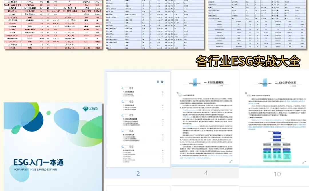 建议小语种 都去冲新赛道!