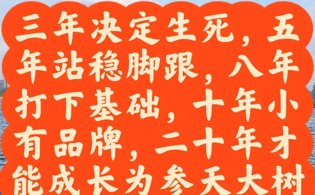 企业的发展路径