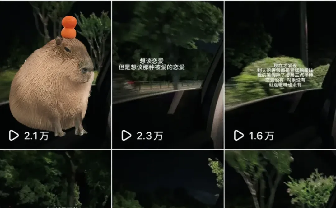 抖音起号第一步|选对赛道,你就成功了一半