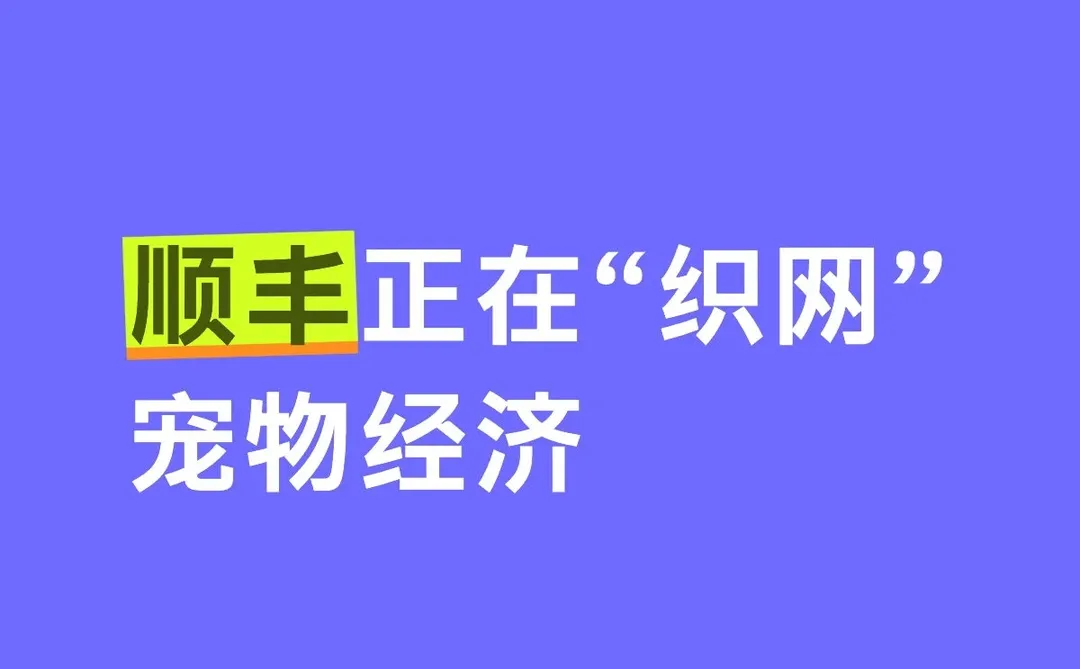 顺丰正在“织网”宠物经济
