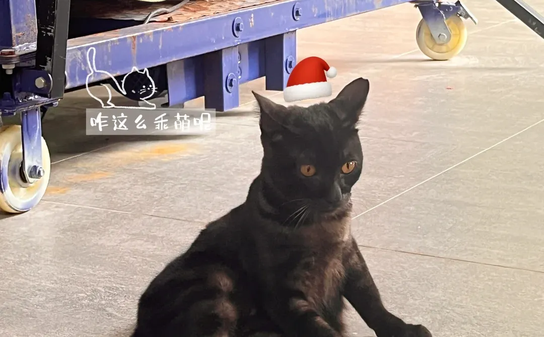 Plog｜数据差到自闭，在线求抱团