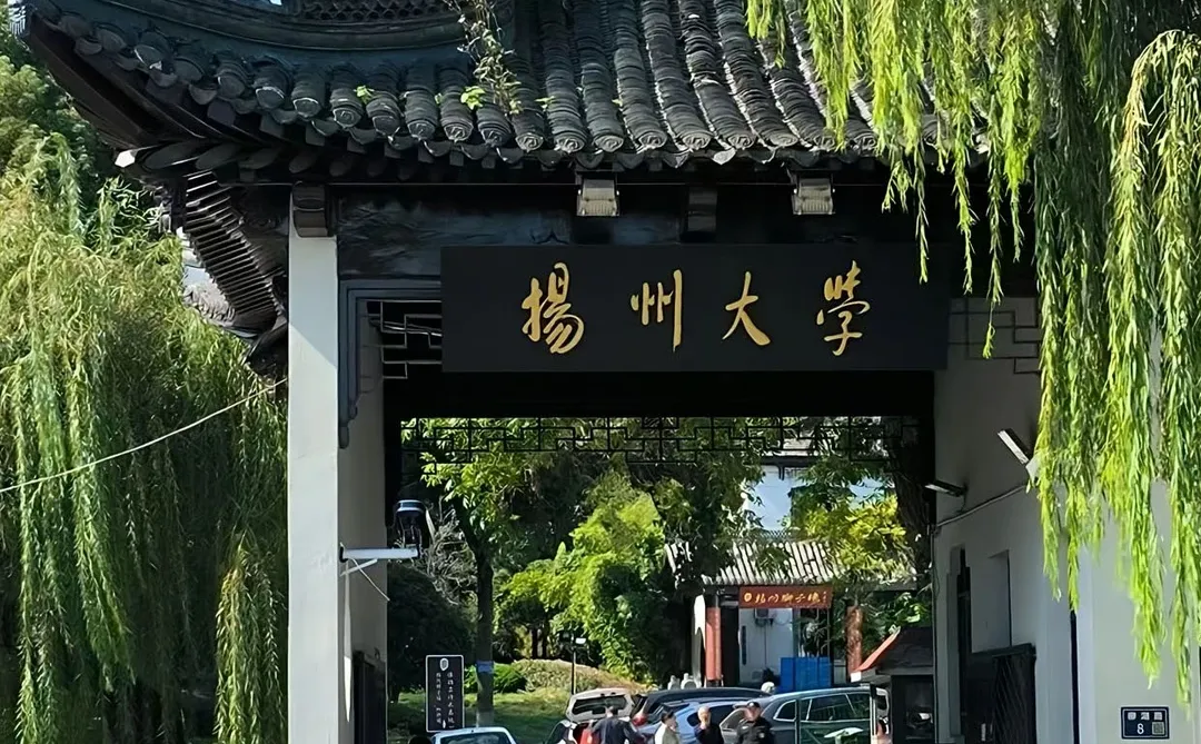 扬州大学今年是疯了吗