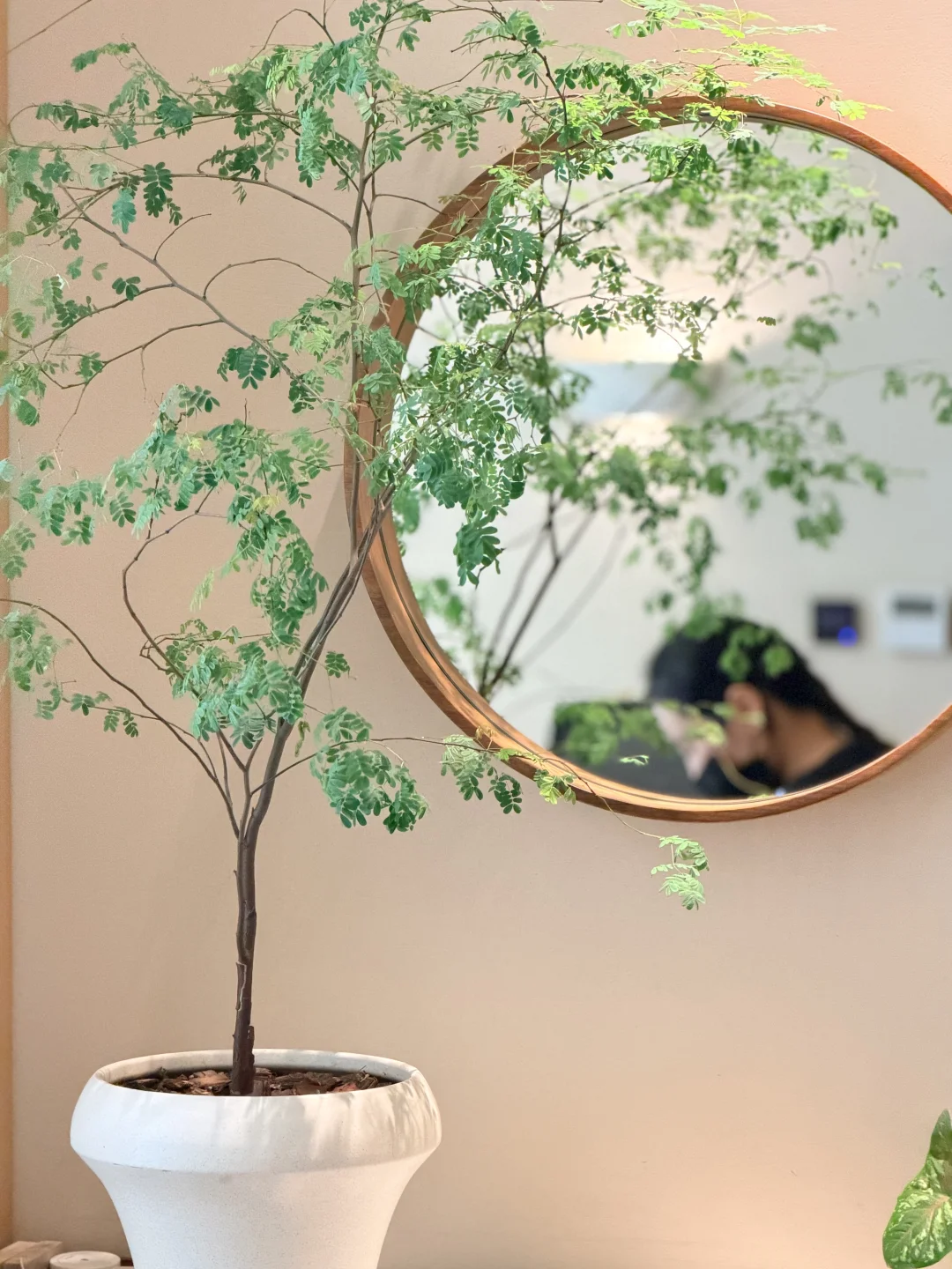 在许昌|护肤来找我