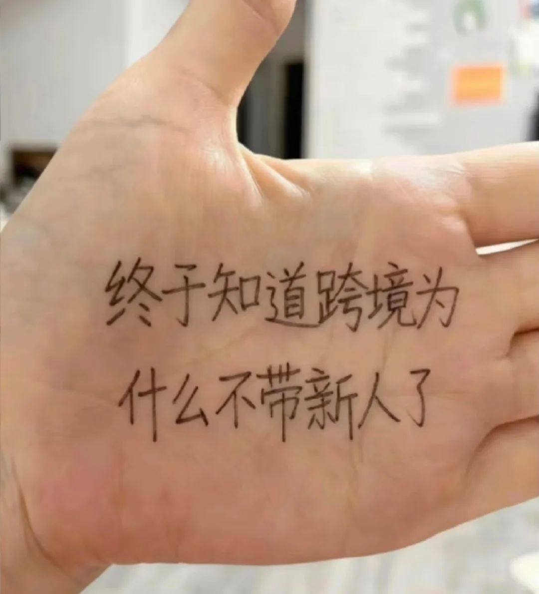 终于知道跨境为什么不带新人了!