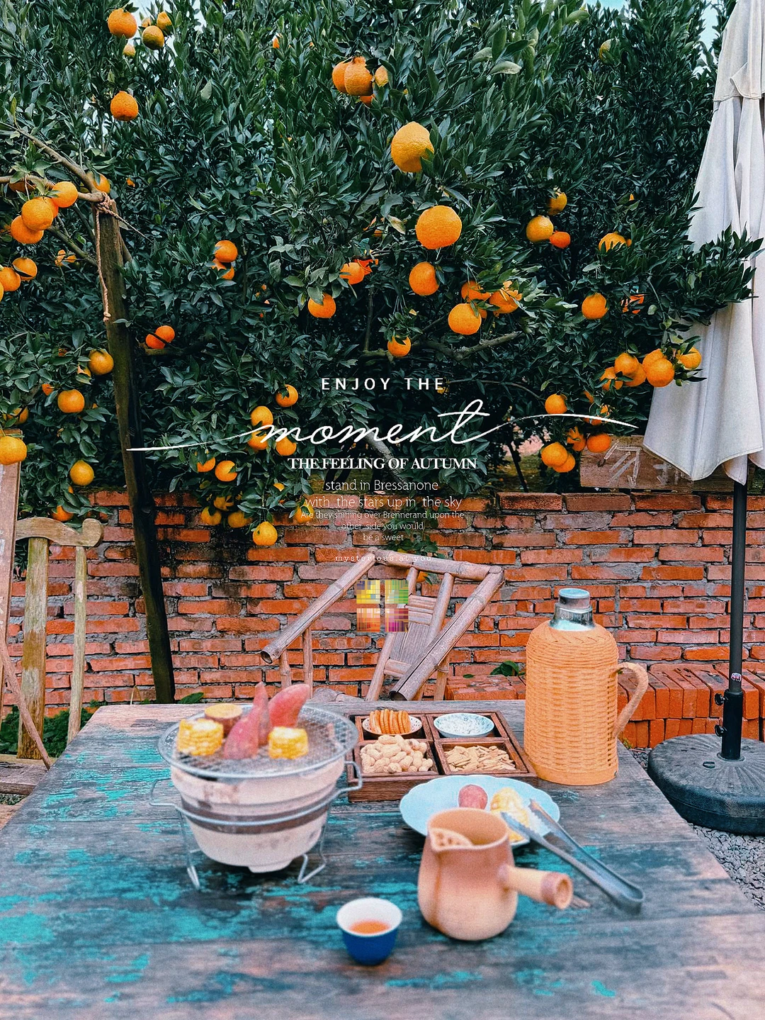 不是逃离,是觉醒,我决定用房租换一生✨