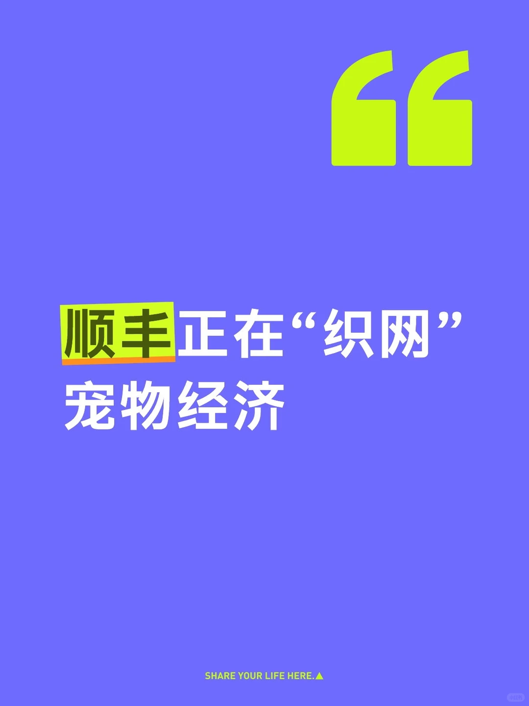 顺丰正在“织网”宠物经济