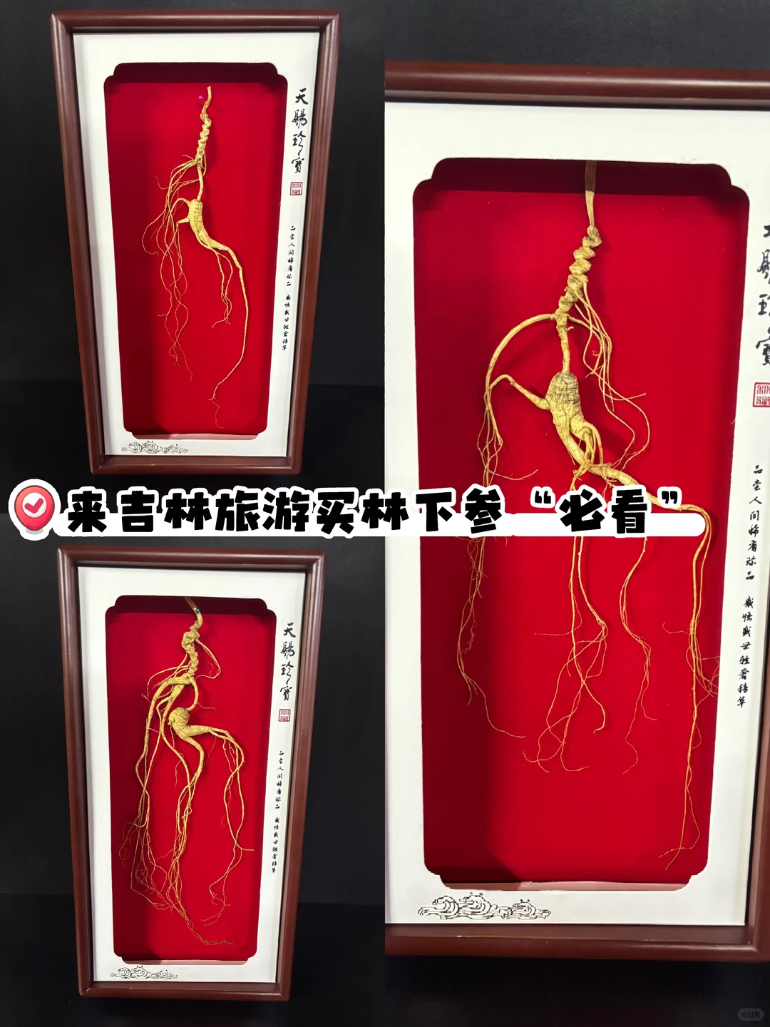 别把林下参这个行业、弄得乌烟瘴气行吗？