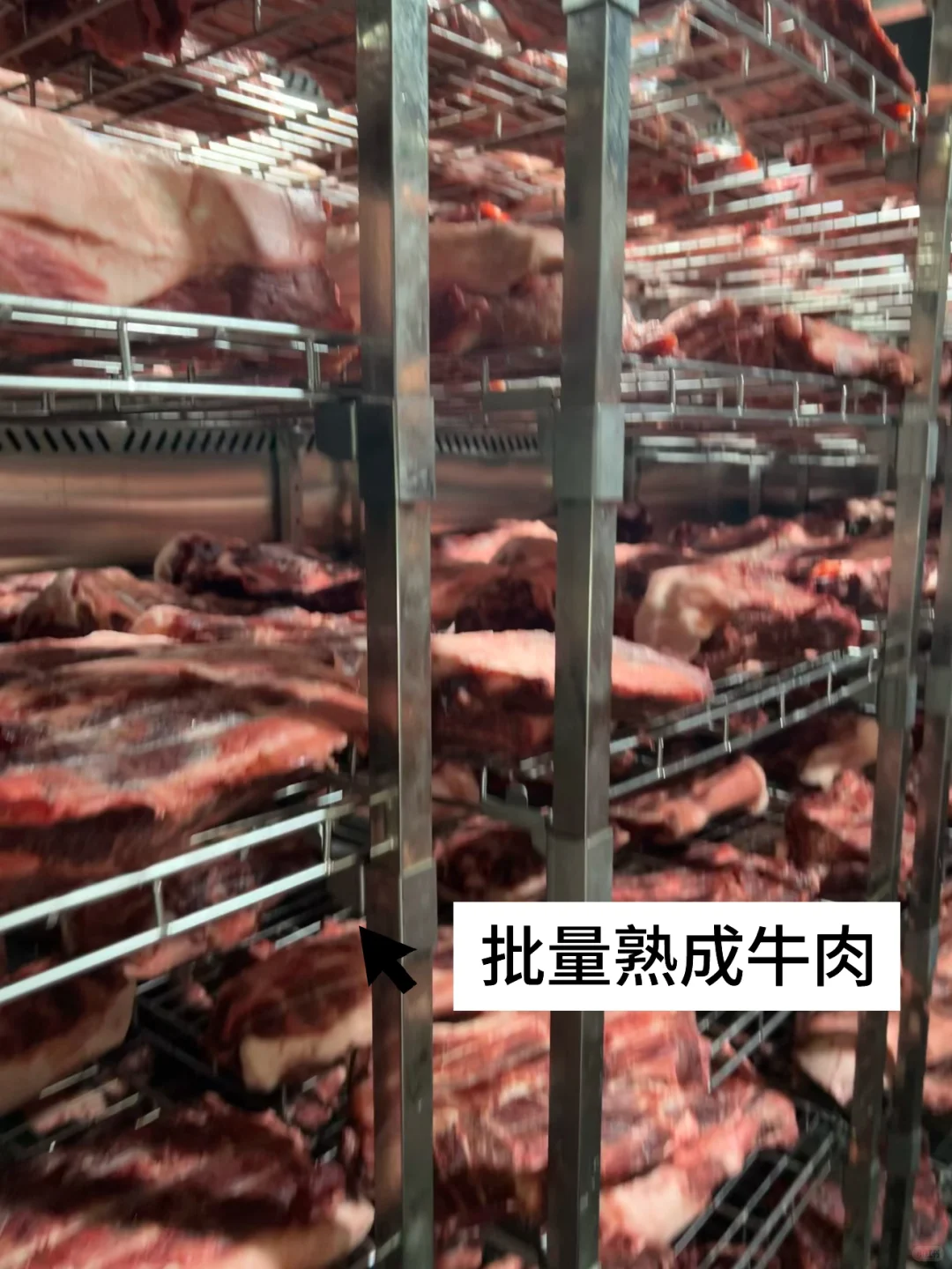 餐饮爆款不断的底气?味燃专业熟成工厂‼️