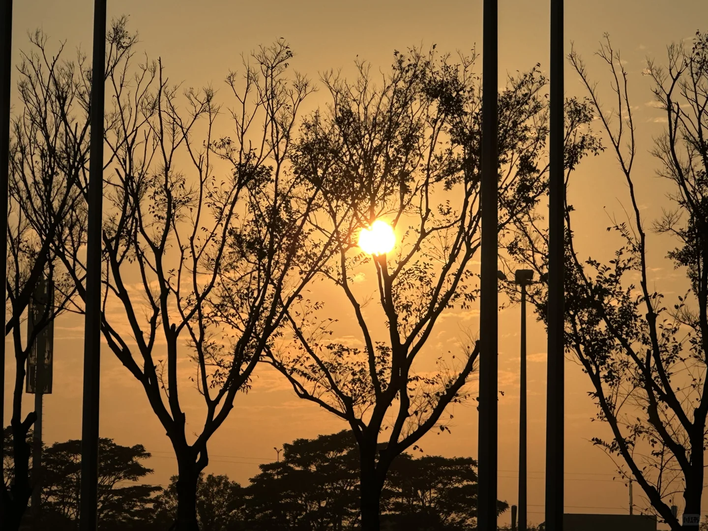 深圳HOTELEX逛展攻略?20万㎡咖啡茶饮盛宴