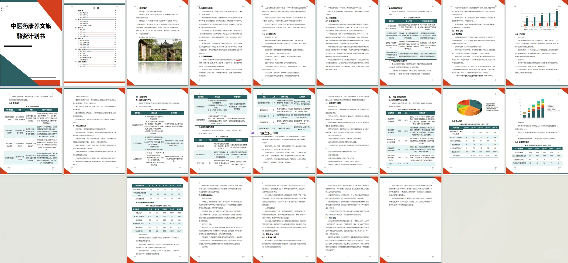 ?中医康养文旅融资计划书word➕ppt