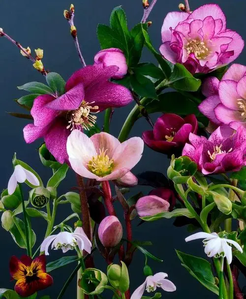 钛白粉未来展望：创新与趋势